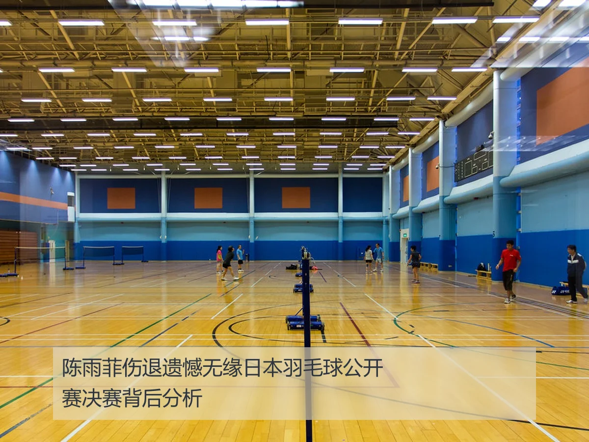 陈雨菲伤退遗憾无缘日本羽毛球公开赛决赛背后分析